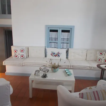 Chora Villas 1 &2 * 파트모스